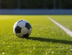 明星独家曝,杨紫,樊振东,FB体育平台,FB体育官方网站,FB体育登录入口,FB体育app下载