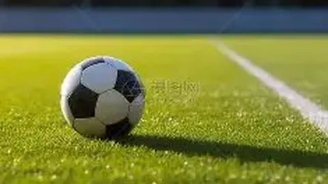 明星独家曝光：杨紫、樊振东、大S等六人动态揭秘